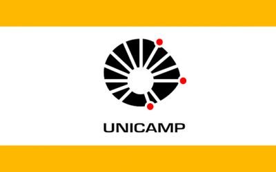 Como é a redação da Unicamp?!