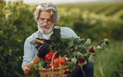 Relação entre alimentação e preservação do meio ambiente