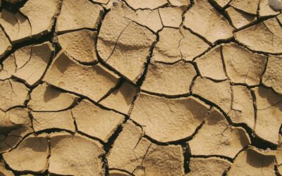 Os efeitos da expansão da seca no Brasil